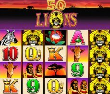 ART 50Lions