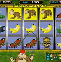 Обзор игровго автомата Igrosoft - Crazy Monkey Обзор игровго автомата Igrosoft - Crazy Monkey
