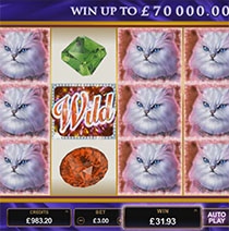 Чего можно ждать от 3 новых слотов от Microgaming, которые вышли 8 июня Чего можно ждать от 3 новых слотов от Microgaming, которые вышли 8 июня