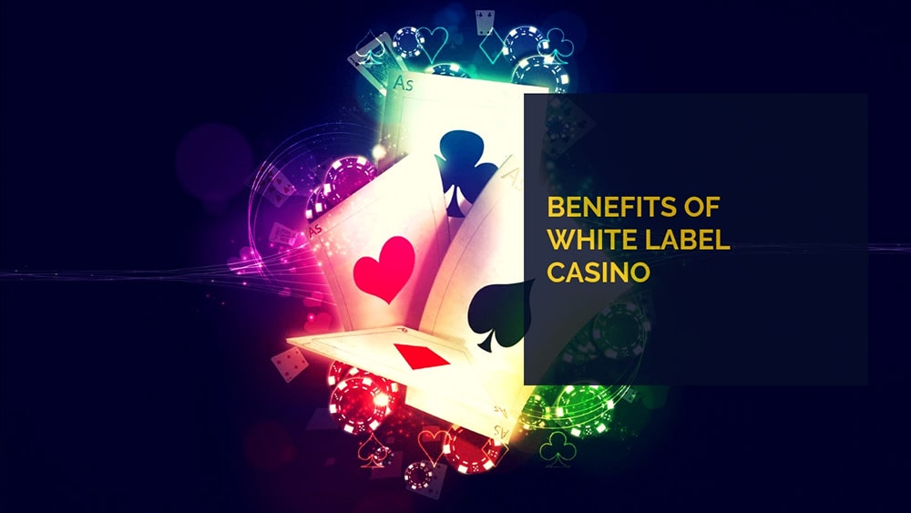 White Label casino affiliate: Benefits of the solution