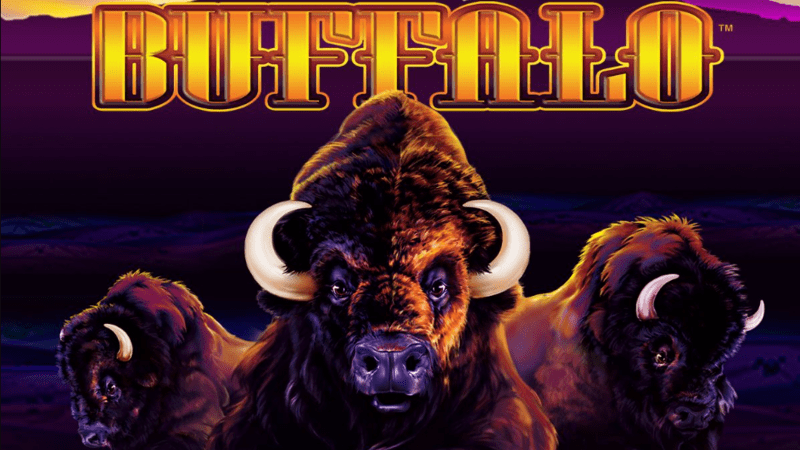 Buffalo online slot from Anaxi